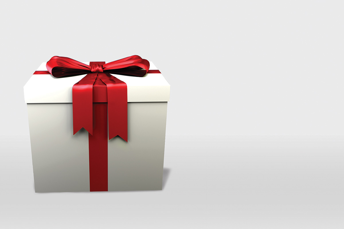 Gray-Creative-Portfolio-PetSmart-Holiday-Ad_1200h-03